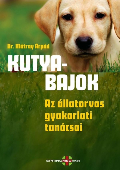 Kutyabajok ‑ Az állatorvos gyakorlati tanácsai (E-book)